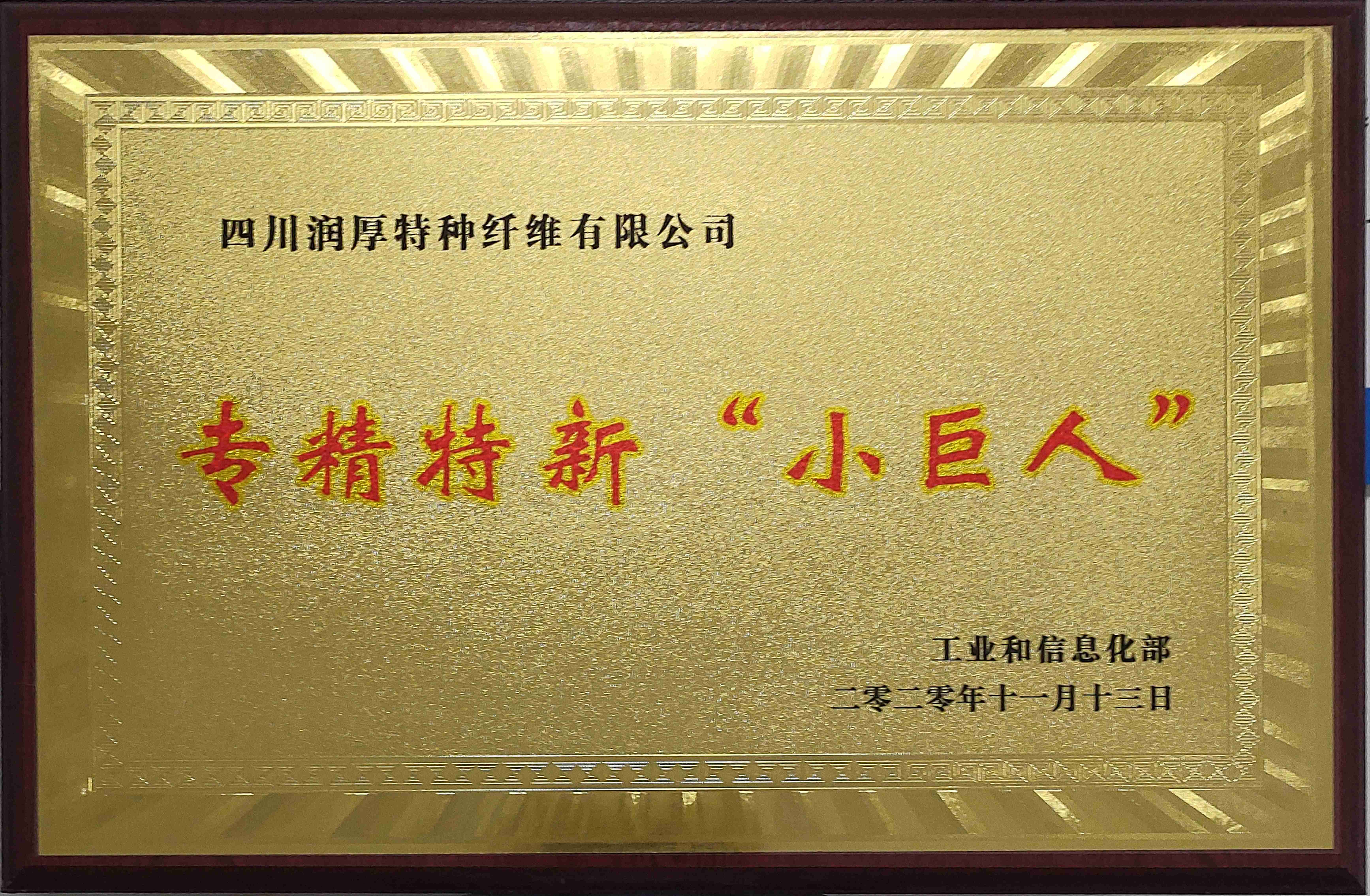 专精特新&ldquo;小巨人&rdquo;